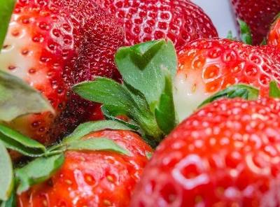Agroalimentar: SIAL 2016 conta com 24 empresas portuguesas