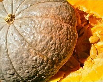 Agrobio e Vila Real unem-se em prol da agricultura biológica