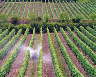 Agrobio organiza curso sobre produtos fitofarmacêuticos