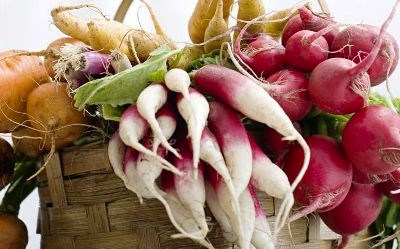 Agrobio promove curso sobre modo de produção biológico