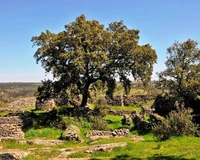 Agrogarante organiza “Conversas de Agricultura” na Ovibeja