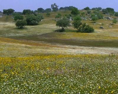 Agrogarante promove "Conversas de Agricultura" na Ovibeja 2016