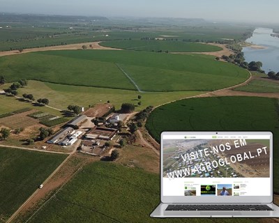 Agroglobal organiza conferências online e visita virtual nos dias 9, 10 e 11 de setembro