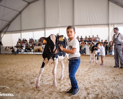 AgroSemana 2018 regressa no final de agosto