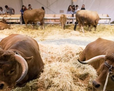 AgroSemana regressa em setembro