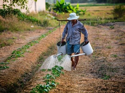 Agrupamentos de Produtores Multiprodutos já podem pedir reconhecimento