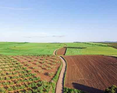 AJAP aplaude apoios à pastorícia e aos territórios rurais