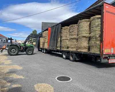 AJAP apoia agricultores afetados pelos incêndios e critica falta de articulação na distribuição dos apoios