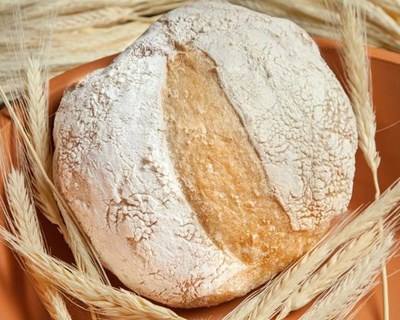 Albergaria-a-Velha: Festival do Pão 2015 chega em junho