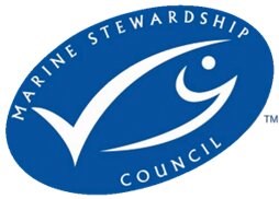 Alberto Martín Aristín, novo diretor do Marine Stewardship Council em Portugal e Espanha