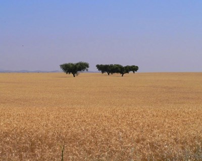 Alentejo: parcerias em torno do PDR2020
