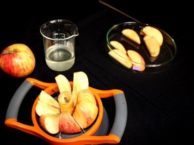 Alga substitui aditivos químicos na conservação de alimentos