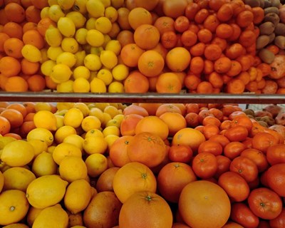 AlgarOrange potencia projeto de internacionalização em Faro
