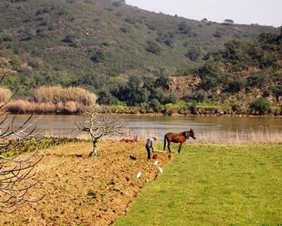 Algarve com acordos de cooperação para criar emprego no setor agrícola