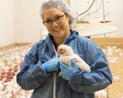 Alltech lança inquérito mundial sobre mulheres na agricultura