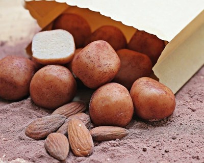 ALMONDPT realiza II Seminário Internacional sobre a cultura da amêndoa
