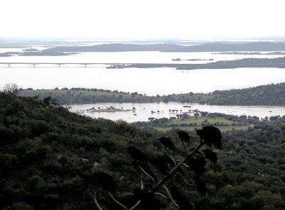 Alqueva: há dois novos perímetros de regadio em Beja e Vidigueira
