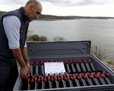 Alqueva: produtor aposta no Vinho de Água