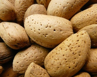 Alqueva recebe seminário sobre “Sistemas de Produção de Amêndoa”