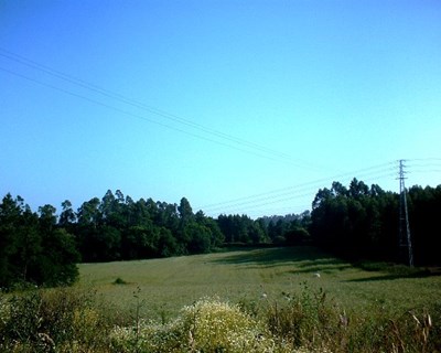 Alterações ao regime da Reserva Agrícola Nacional prometem facilitar decisões