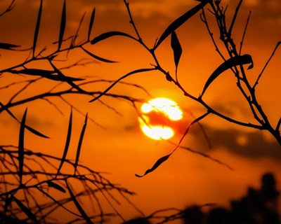 Alterações climáticas ameaçam agricultura