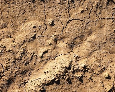 Alterações climáticas é tema de seminário em Cascais