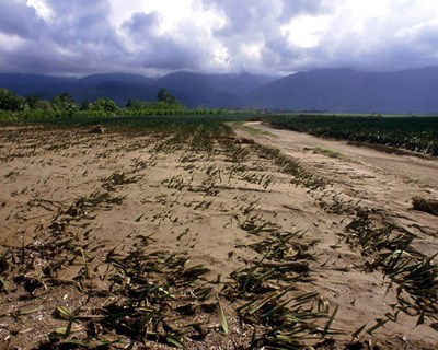 Alterações climáticas em debate