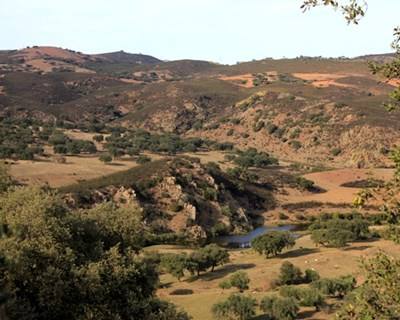Alterações climáticas: FAO alerta para danos na agricultura e segurança alimentar