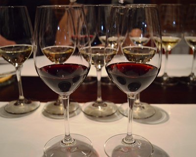 Anadia acolhe curso de introdução à prova de vinhos no feminino