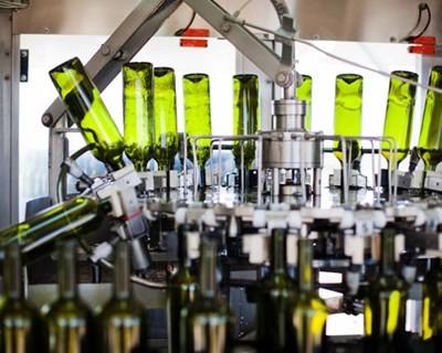 Anadia recebe curso intensivo de estabilização e engarrafamento de vinhos