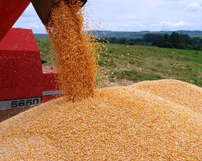 Angola e Brasil assinam acordos para investimentos na agricultura
