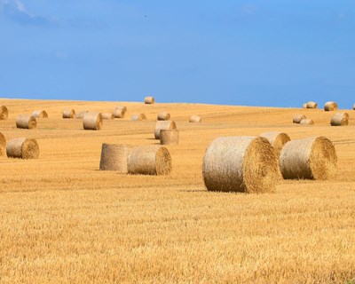 ANIPLA e CropLife Europe publicam posição da indústria europeia sobre o relatório ENVI