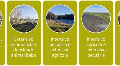ANPOC e parceiros divulgam resultados do projeto BPA.Eco