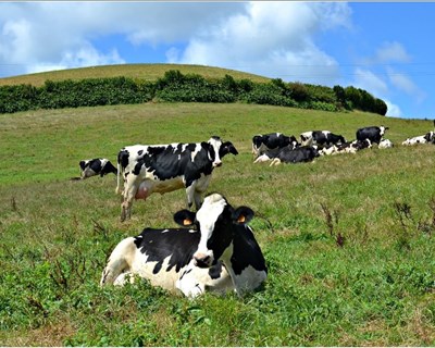 Antecipação de 50% das medidas do desenvolvimento rural ocorridas no continente não se estendeu às regiões autónomas