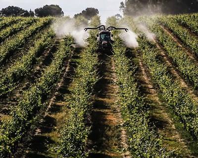 Anuário agrícola de Alqueva 2016 disponível online