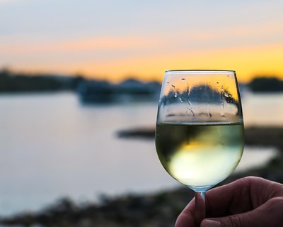 APENO organiza 1.º Encontro Nacional dos Profissionais de Enoturismo