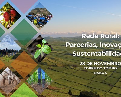 Apresentação da Rede Nacional no âmbito do PEPAC