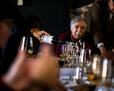 Aqui na Bairrada 2019: mostra de espumantes, vinhos e sabores realiza-se em setembro