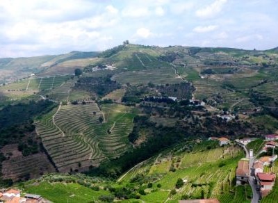 Arcos de Valdevez: autoridades mostram potencialidades de «drones» no controlo de doenças da vinha
