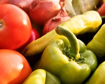 Área cultivada de agricultura biológica continua a aumentar
