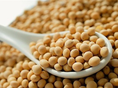 Argentina com aumentos significativos de exportação de soja e cereais em 2015