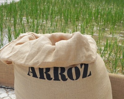 Arroz: produtores europeus pedem medidas urgentes para apoiar mercado