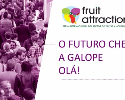 As novidades da Fruit Attraction 2020