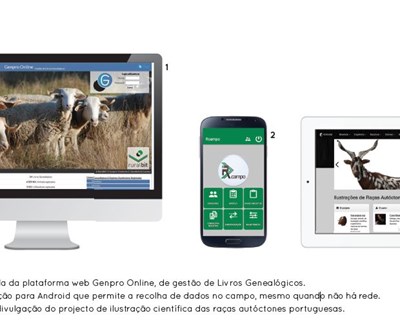 «As raças autóctones precisam de mais divulgação»