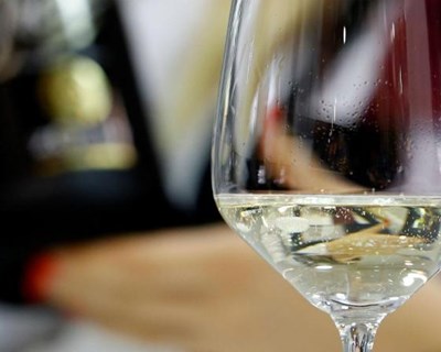 ASAE apreende 38 mil litros de “vinho de mesa” na zona Oeste