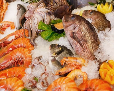 ASAE fiscaliza produtos da pesca e de aquicultura e instaura 1 processo crime e 10 processos de contraordenação