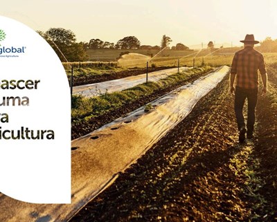 Asfertglobal aumenta as vendas em 20% no 1º semestre de 2022