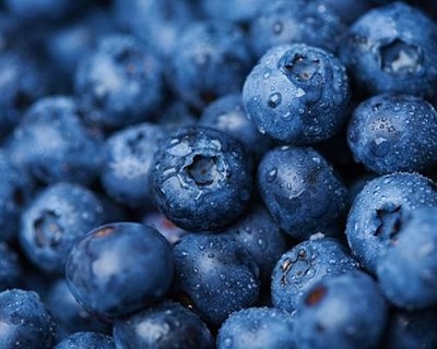 Associação de pequenos frutos lança observatório de preços