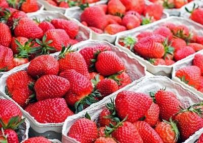 Associação de produtos biológicos reúne com produtores