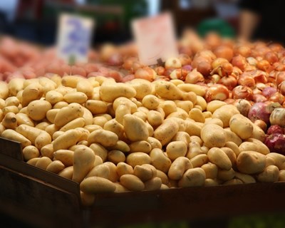 Associação In Loco abre concurso para apoiar os agricultores a escoar a produção local